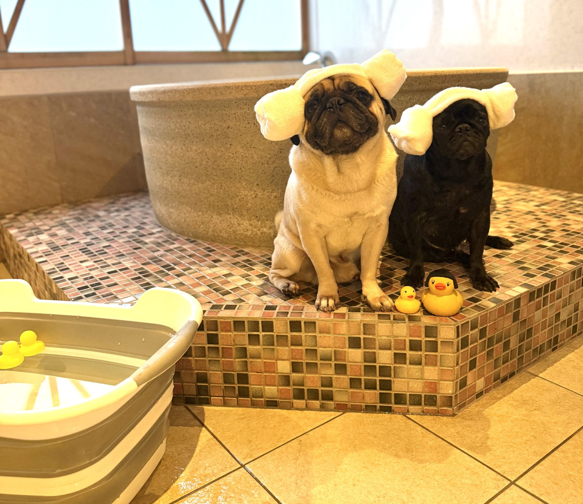 愛犬用の無添加ごはんや、専用バスタブがある施設も